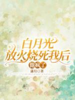 白月光放火燒死我后他瘋了