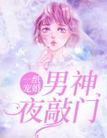 一紙寵婚：男神夜敲門