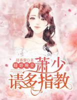暖婚晚愛：蕭少，請多指教