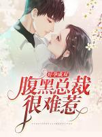 好孕成雙：腹黑總裁很難惹