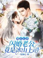 婚后心動：閃婚老公竟是冰山上司