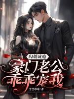 閃婚成癮：豪門老公乖乖寵我