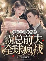 她揣崽瀟灑離婚霸總前夫全球瘋找