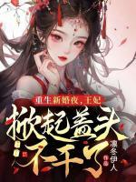 重生新婚夜，王妃掀起蓋頭不干了