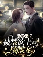 閃婚后，被禁欲上司摟腰寵