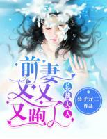總裁大人：前妻又又又跑了