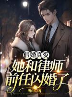 假婚真愛(ài)，她和律師前任閃婚了