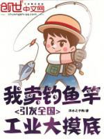 我賣釣魚竿，引發(fā)全國工業(yè)大摸底