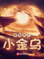 偷偷養(yǎng)只小金烏