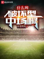 什么叫破壞型中場啊