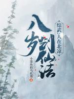 綜武：人在北涼，八歲創(chuàng)仙法