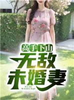 高手下山：無敵未婚妻