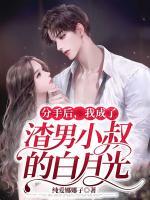 分手后，我成了渣男小叔白月光
