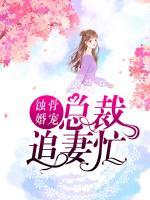 蝕骨婚寵：總裁追妻忙