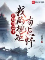 開局當(dāng)宗主：我的規(guī)矩有點野