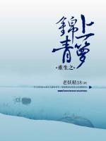 重生之錦上青籮