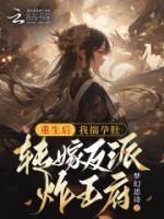 重生后，我揣孕肚轉(zhuǎn)嫁反派炸王府