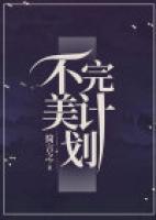 不完美計(jì)劃