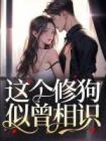 這個(gè)修狗似曾相識(shí)