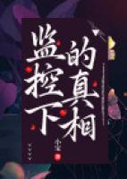 監(jiān)控下的真相