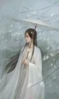 替嫁貴妃