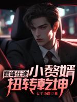 巔峰仕途:小贅婿扭轉(zhuǎn)乾坤！