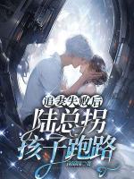 追妻失敗后，陸總拐孩子跑路