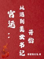 官運：從遇到美女書記開始