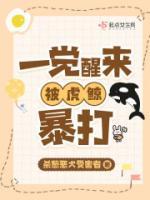 一覺醒來，我被虎鯨暴打！