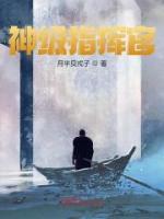 神級(jí)指揮官