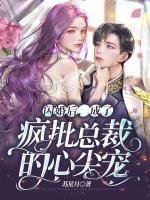 閃婚后，成了瘋批總裁的心尖寵