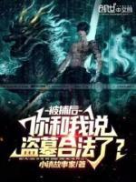 被捕后，你和我說盜墓合法了？