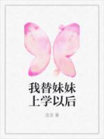 我替妹妹上學(xué)以后