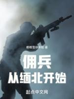 我在緬北當(dāng)傭兵