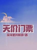 天價門票