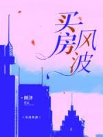 買房風(fēng)波