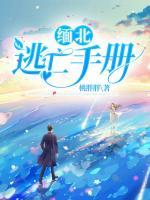 緬北逃亡手冊