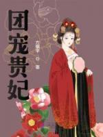 團寵貴妃