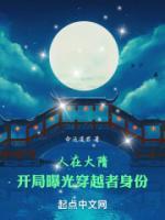 人在大隋，開局曝光穿越者身份