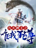 九天神王之唯我獨(dú)尊
