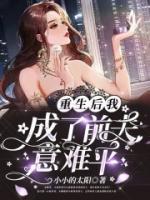 重生后我成了前夫意難平