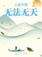 人在大宋，無(wú)法無(wú)天