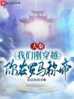 大秦：我們剛穿越，你在羅馬稱帝