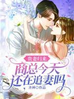貴妻歸來(lái)：商總今天還在追妻嗎