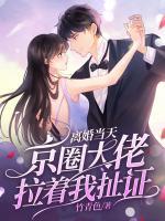 離婚當(dāng)天京圈大佬拉著我扯證