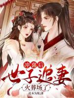 沖喜后，世子追妻火葬場了