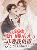 閃婚后，豪門繼承人非要我負(fù)責(zé)