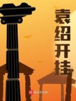 袁紹開掛