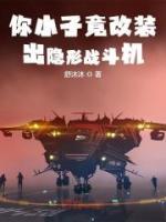 你小子竟改裝出隱形戰(zhàn)斗機