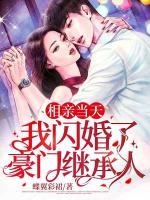 相親當天，我閃婚了豪門繼承人